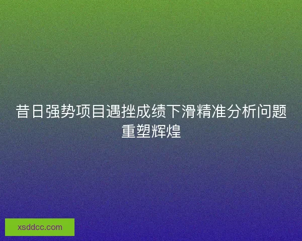 昔日强势项目遇挫成绩下滑精准分析问题重塑辉煌